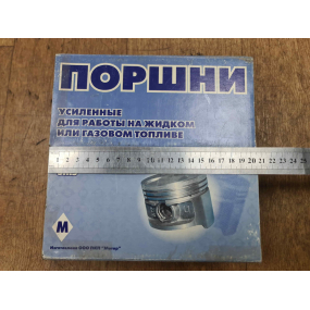 Поршень МОТОР Ф 101 мм Двигатель УМЗ-421 (Группа ''Д'')