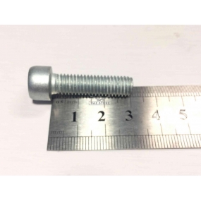 Винт М 8х30 (6g) (с цилиндрической головкой на 13 под шестигранник 6) крышки цепи короткий