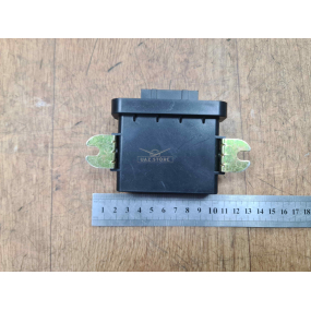 Блок электронный 3163-3839060-50 управления СБП (системой безопасности парковки)